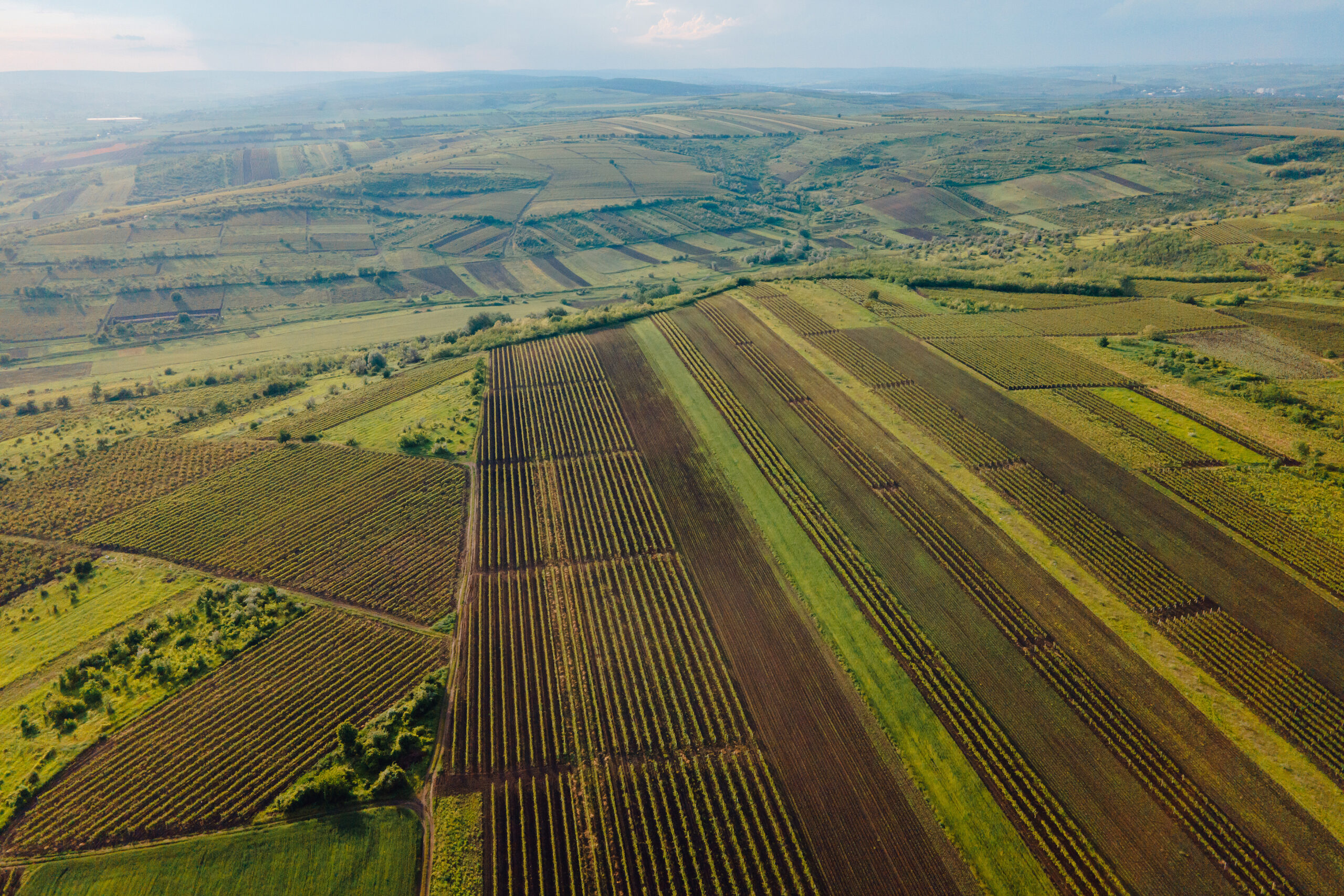 Selling and buying agricultural land in Romania | Bogdan Costache Law Office